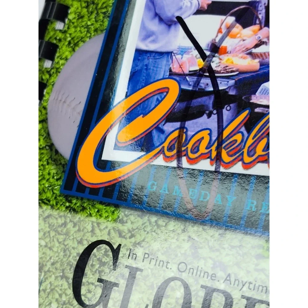 Rare Tailgater's Cookbook Observer Daily & Sunday 2002 Cook Food Great‎ 📸SEE📸
